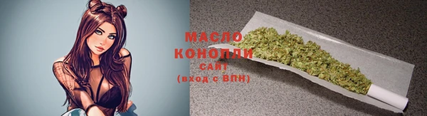 дмт Дмитриев