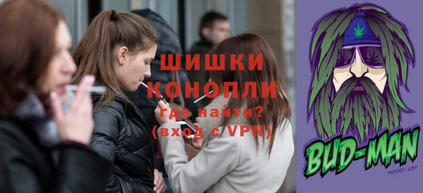 дмт Дмитриев